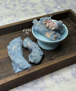 Kefir Goat Yogurt & Blueberry Coated Chicken Neck 80g
