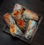 Freeze Dried King Prawn Head 60g