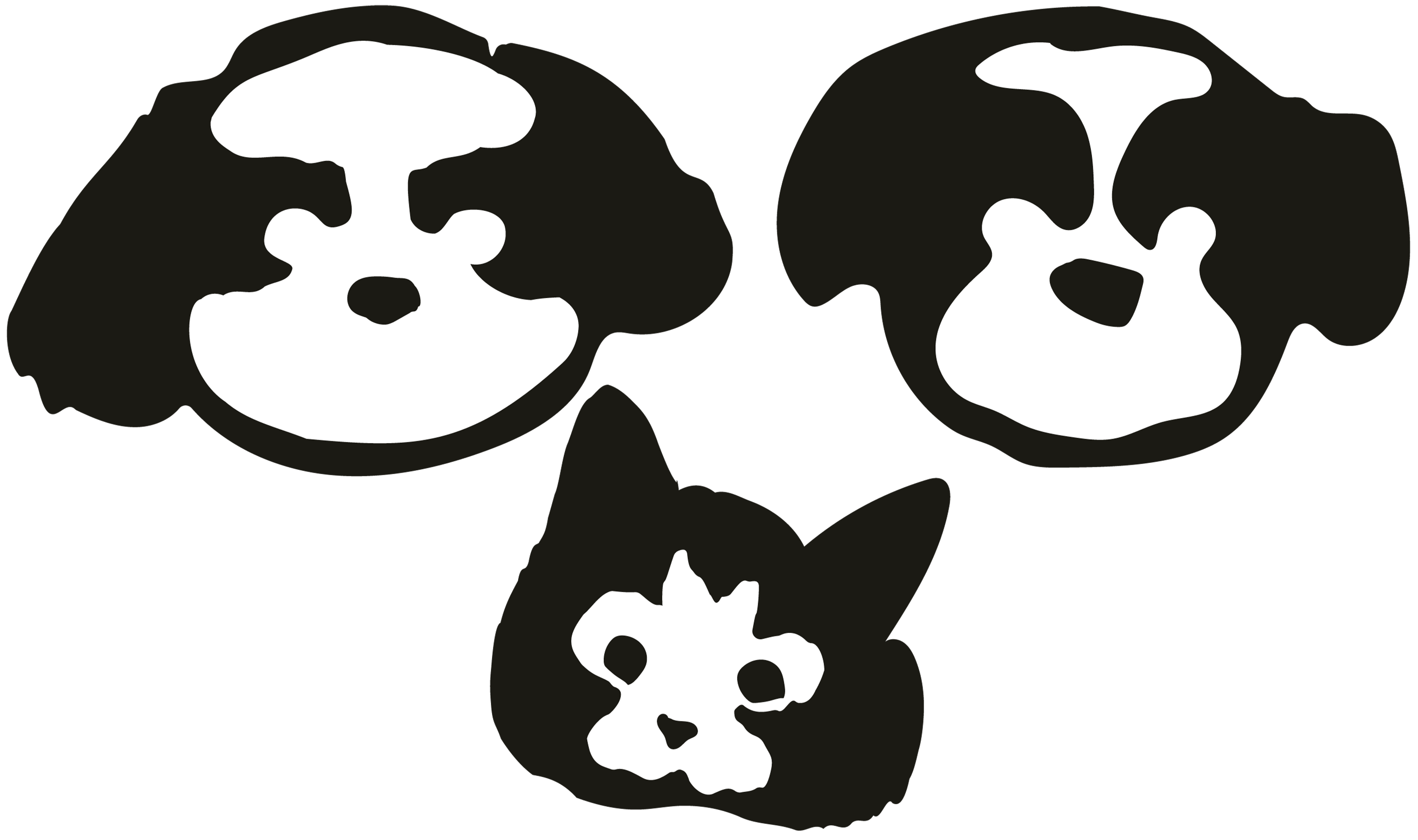 MAYBO Pet
