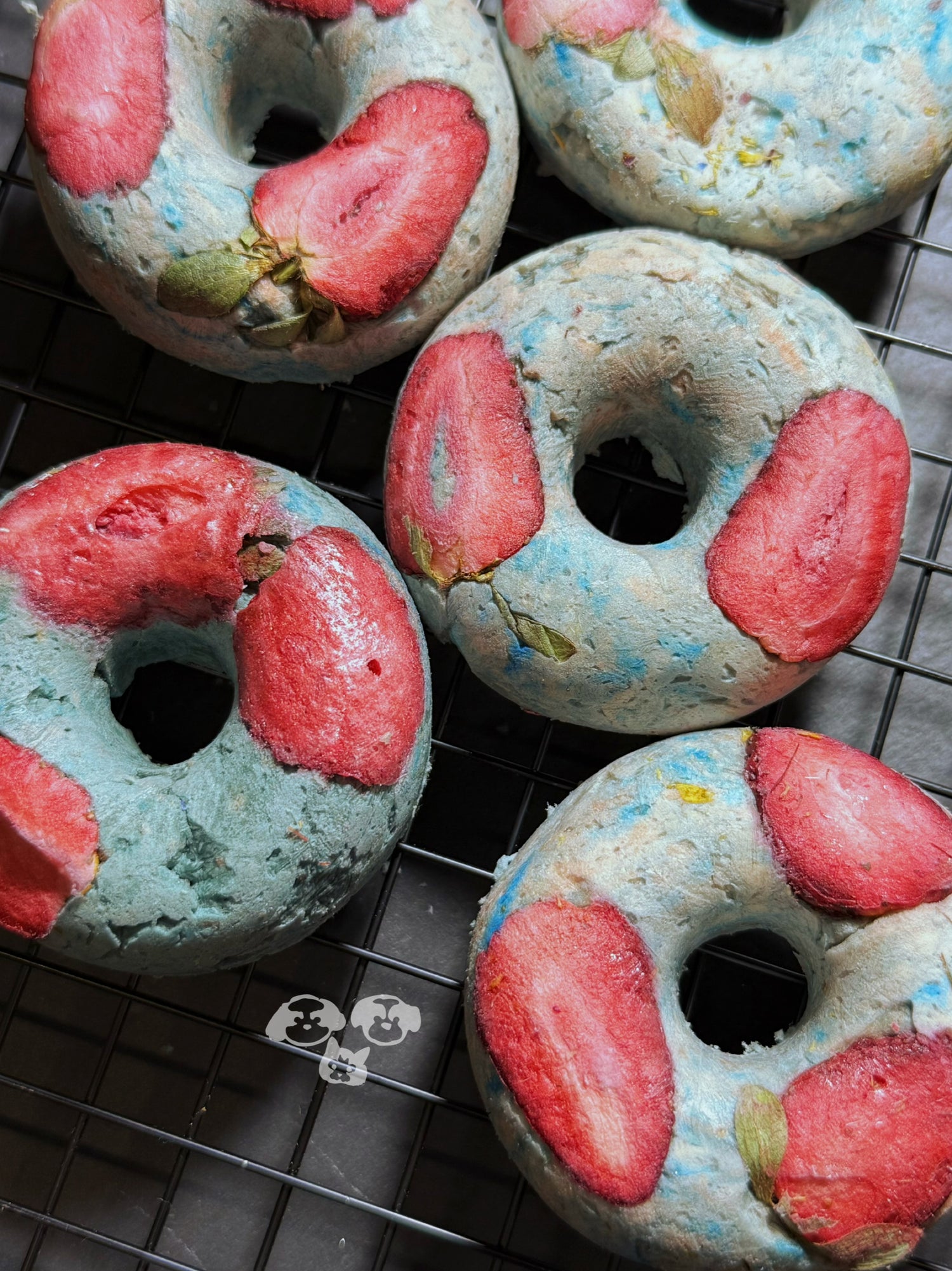 MAYBO Freeze-Dried Blue Donut Magic Box (5 pcs)