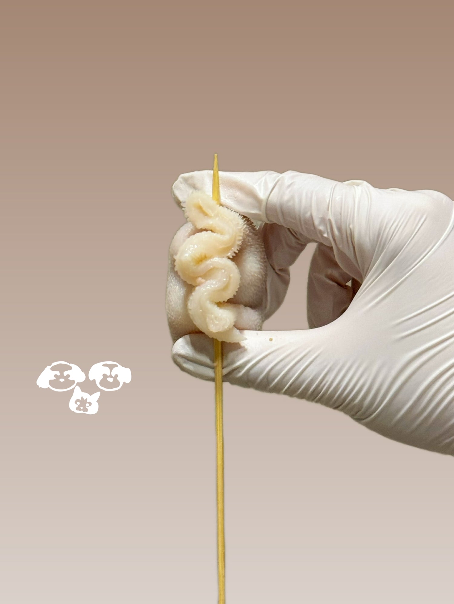 *LIMITED* BELLY WRAP 肚包肉 5PC