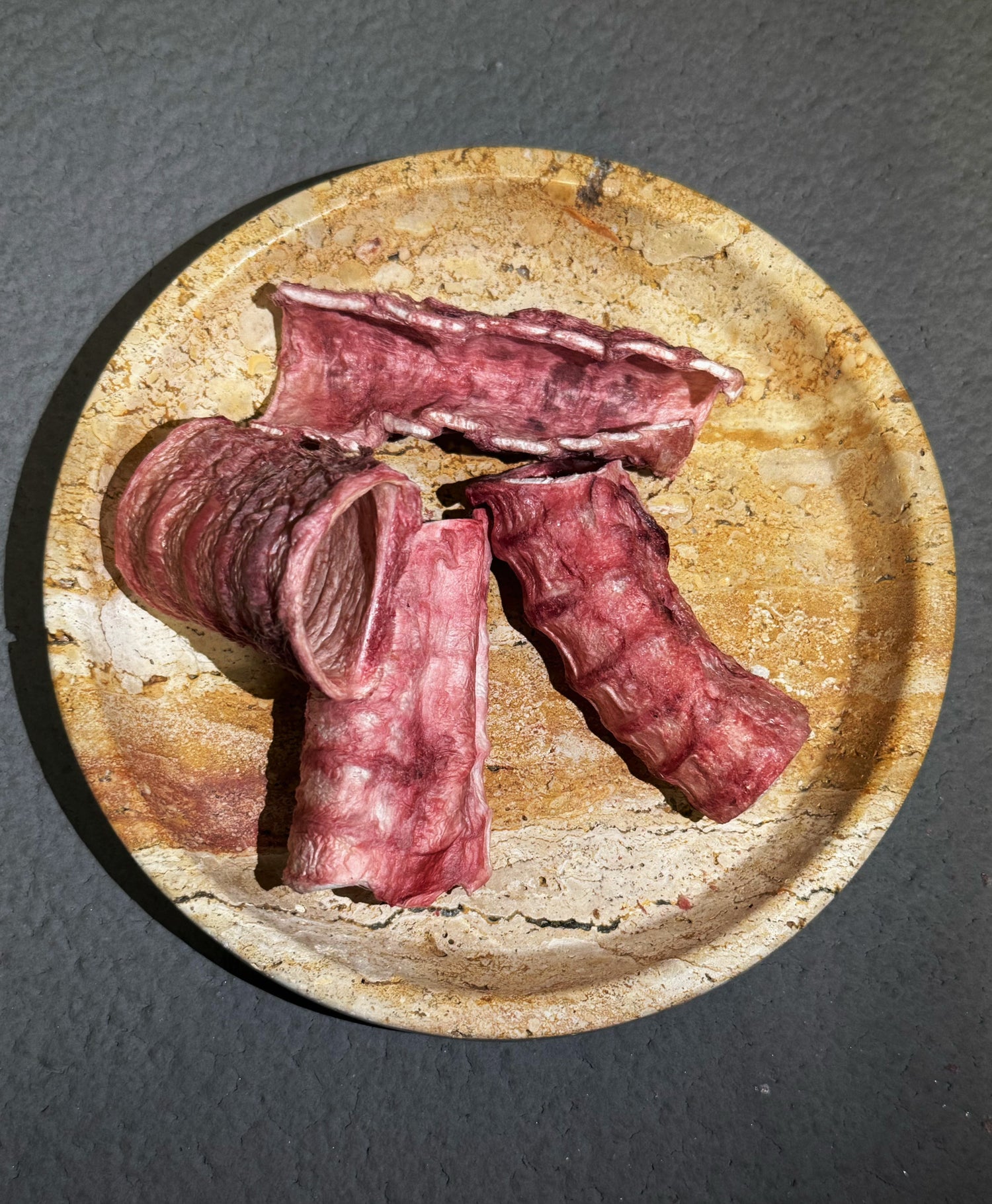 Freeze Dried Camel Trachea 2PC
