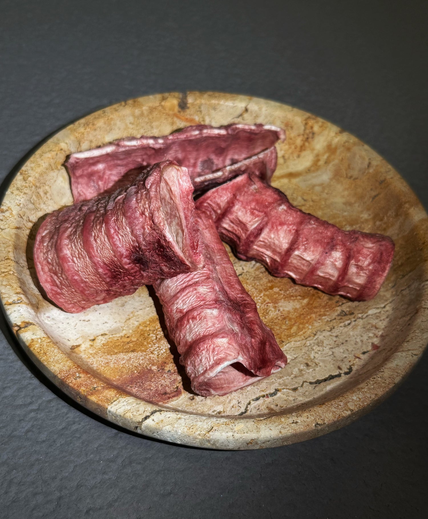 Freeze Dried Camel Trachea 2PC