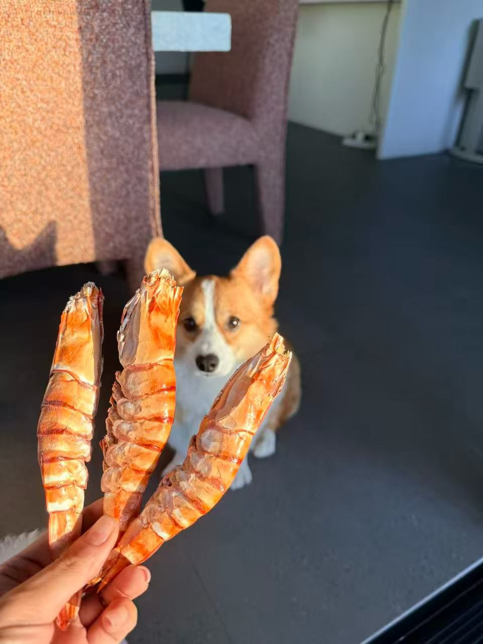 WHOLE TIGER PRAWN Skull Island WA 50G