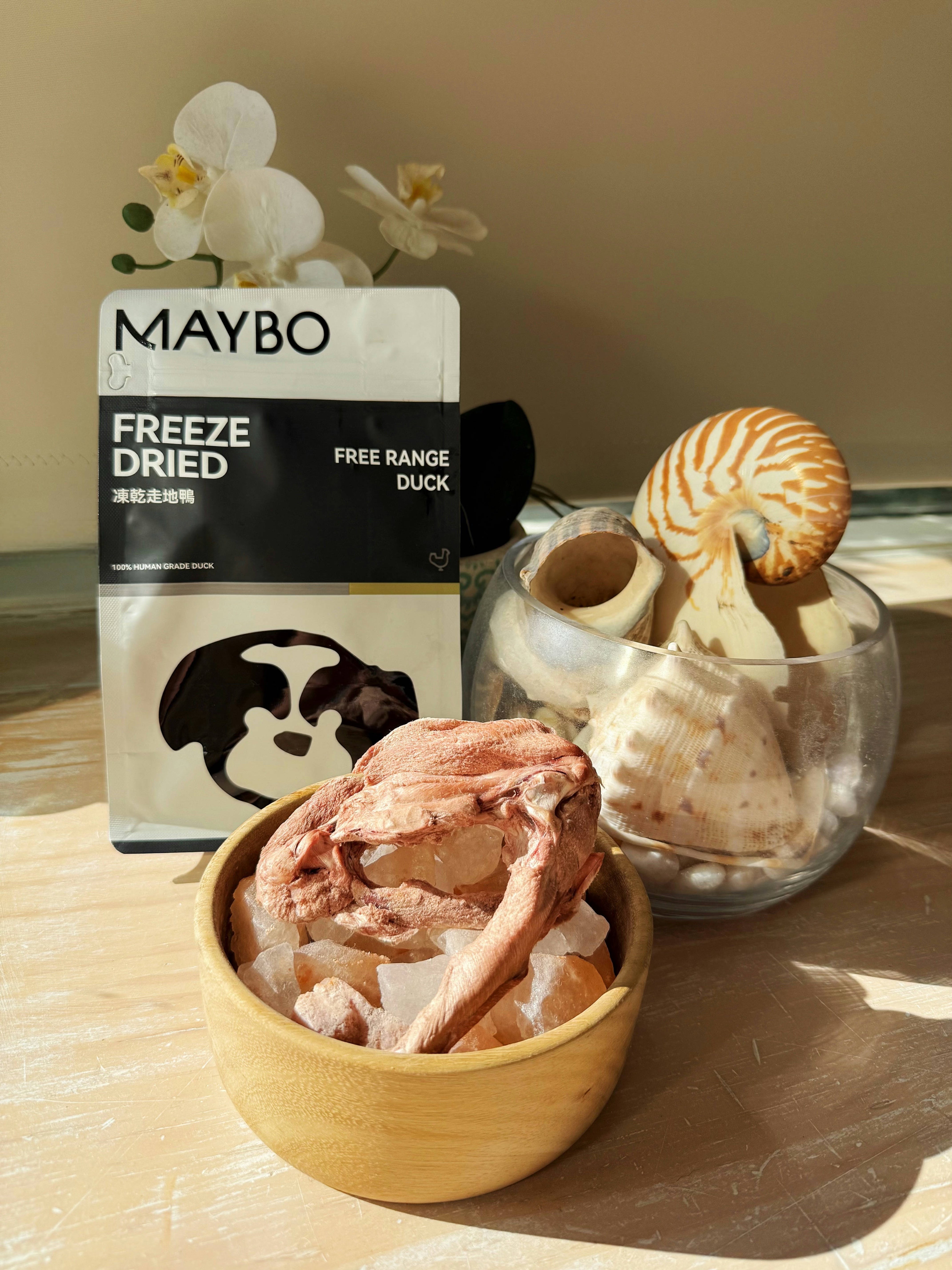 MAYBO Pet