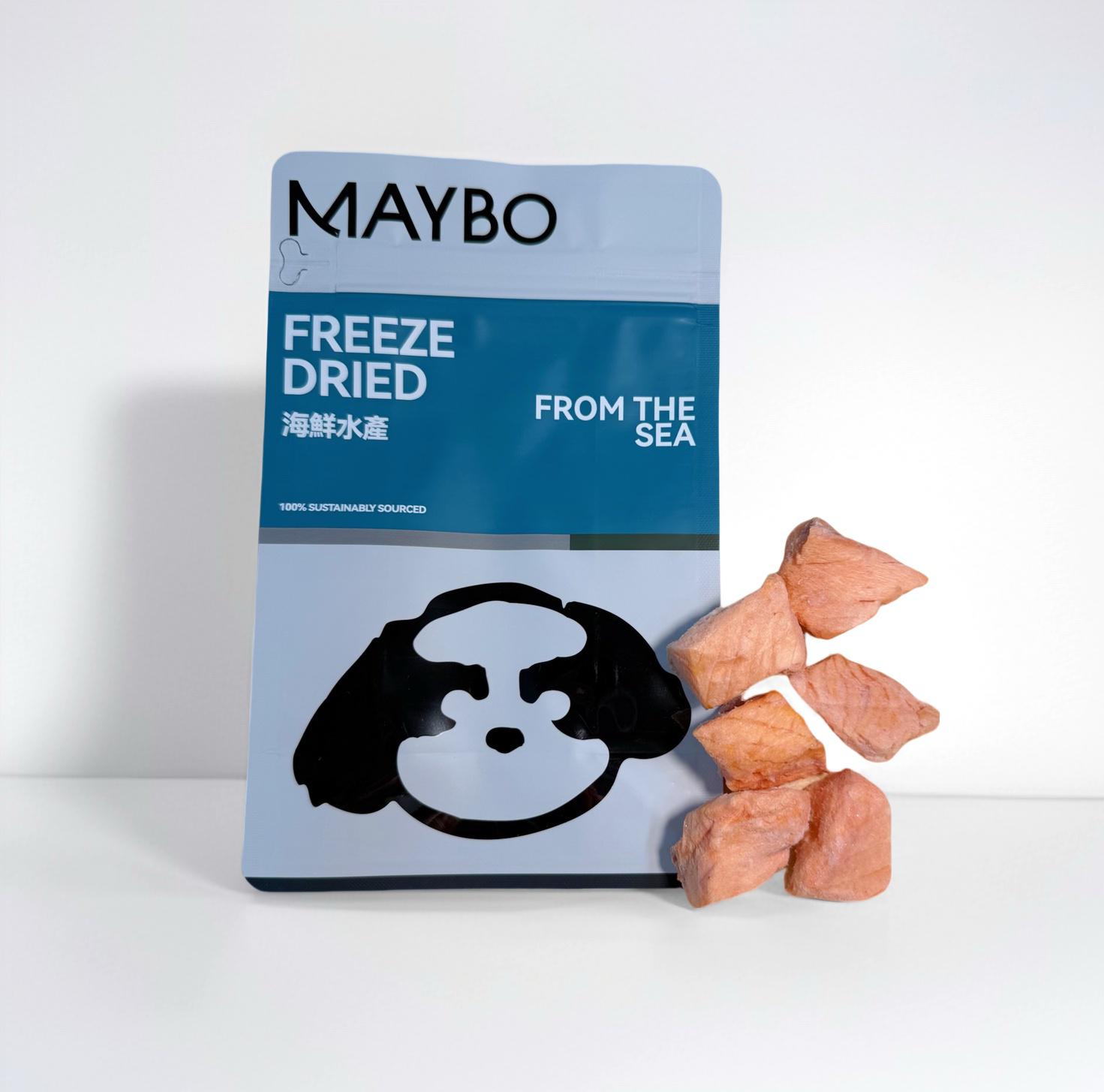 Freeze-Dried Salmon Fillet 50g